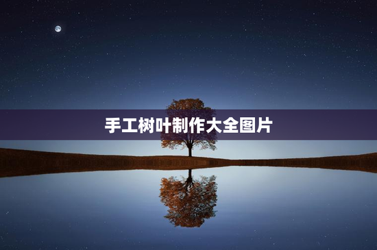 手工树叶制作大全图片