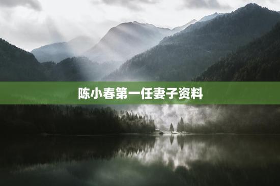 陈小春第一任妻子资料