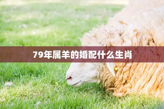 79年属羊的婚配什么生肖(如何选择最佳婚配对象)