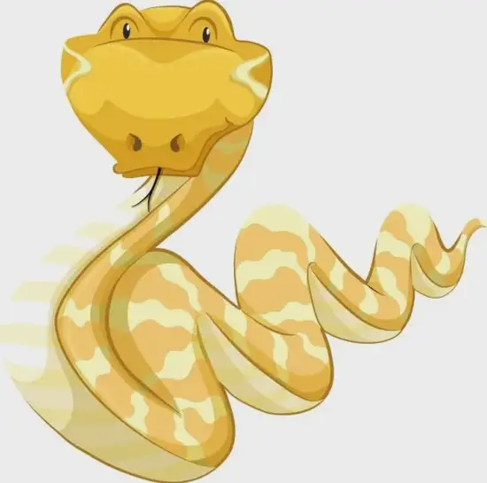 生肖蛇无尾动物高清图