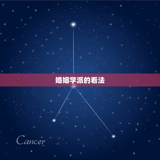 婚姻学派的看法