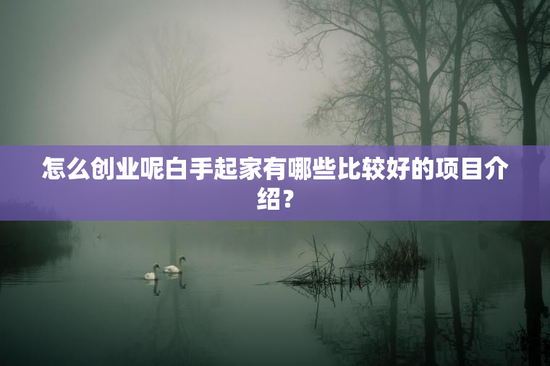 怎么创业呢白手起家有哪些比较好的项目介绍？
