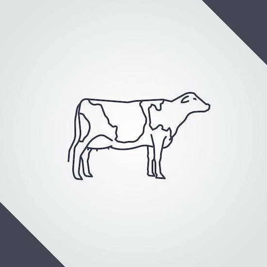 木星2023年进入金牛座(天象大变金牛座迎来新机遇)