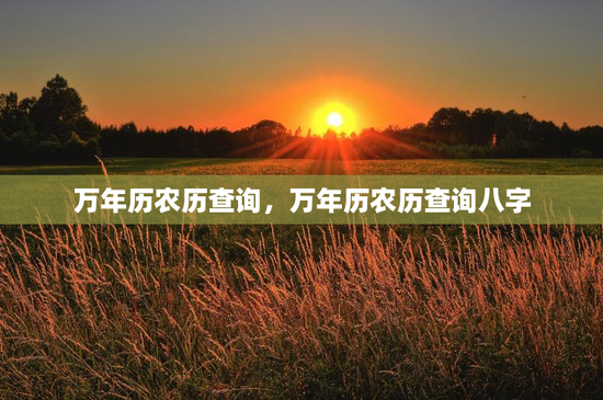 万年历农历查询，万年历农历查询八字