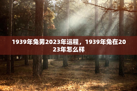 1939年兔男2023年运程，1939年兔在2023年怎么样