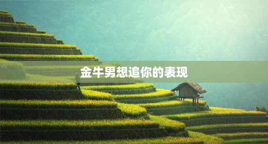 金牛男想追你的表现