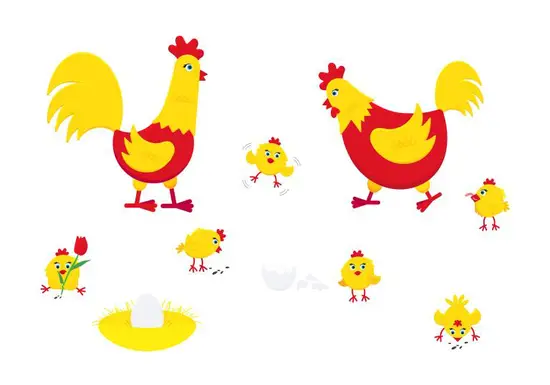 2023年属鸡每日运势(幸运之鸟飞向未来)