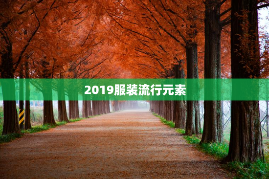 2019服装流行元素