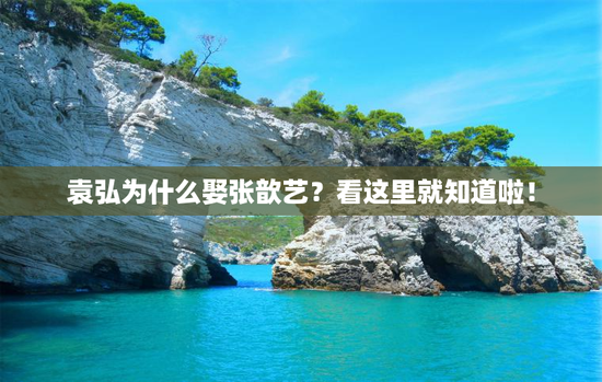 袁弘为什么娶张歆艺？看这里就知道啦！