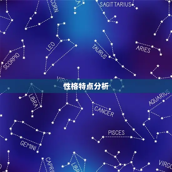 性格特点分析