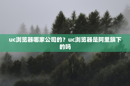 uc浏览器哪家公司的？uc浏览器是阿里旗下的吗