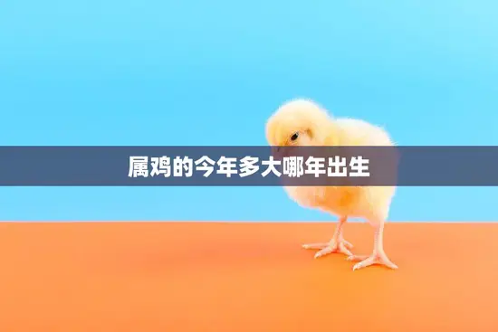 属鸡的今年多大哪年出生(揭秘属鸡人的命运与性格特点)