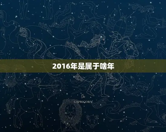 2016年是属于啥年