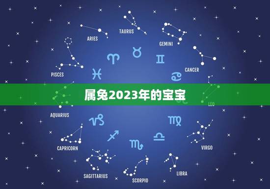属兔2023年的宝宝
