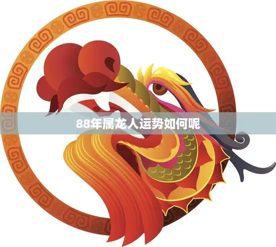 88年属龙人运势如何呢(2023年运势大揭秘)