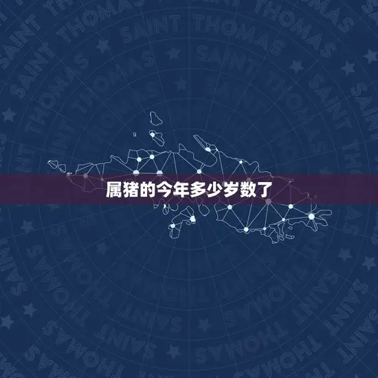 属猪的今年多少岁数了