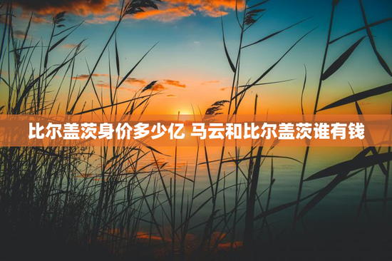 比尔盖茨身价多少亿 马云和比尔盖茨谁有钱