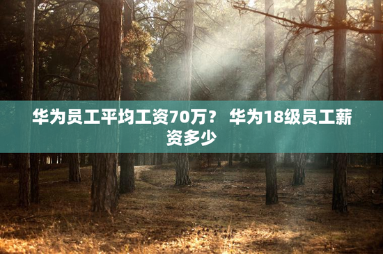 华为员工平均工资70万？ 华为18级员工薪资多少
