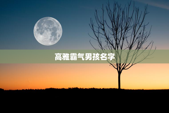 高雅霸气男孩名字