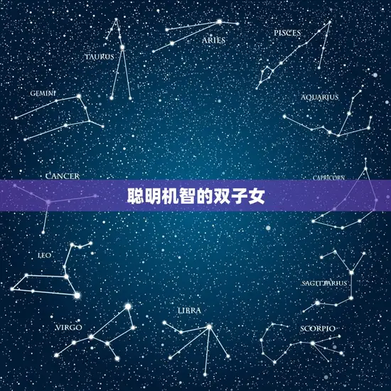 聪明机智的双子女