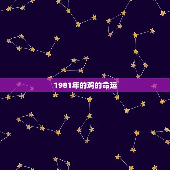 1981年的鸡的命运