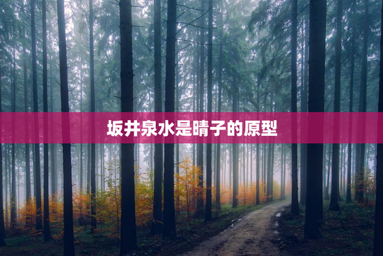 坂井泉水是晴子的原型