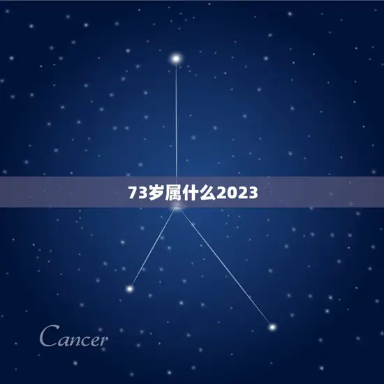 73岁属什么2023