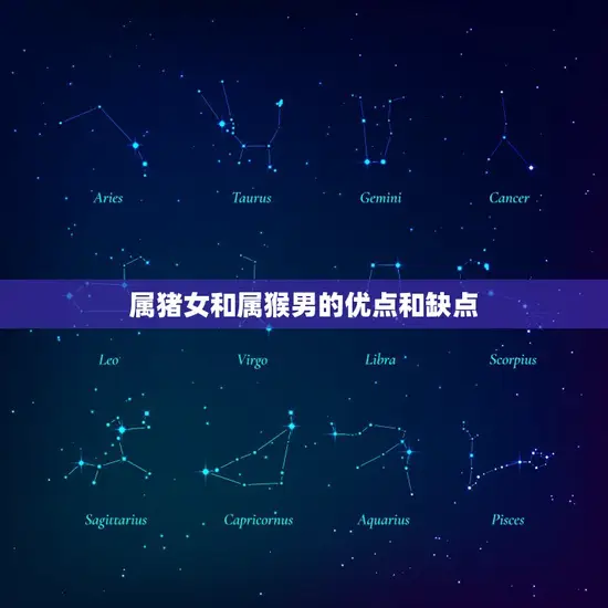 属猪女和属猴男的优点和缺点