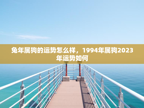 兔年属狗的运势怎么样，1994年属狗2023年运势如何