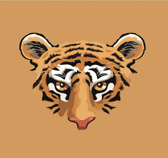 虎女配男龙会相伴一生吗(命运的交错缘分的牵引)