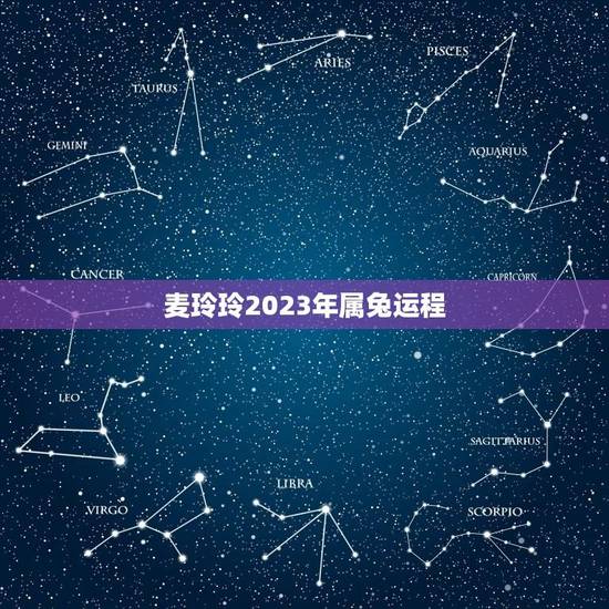 麦玲玲2023年属兔运程(运势介绍与建议)