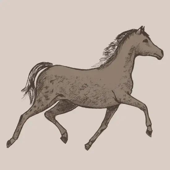 属马人三合贵人方位