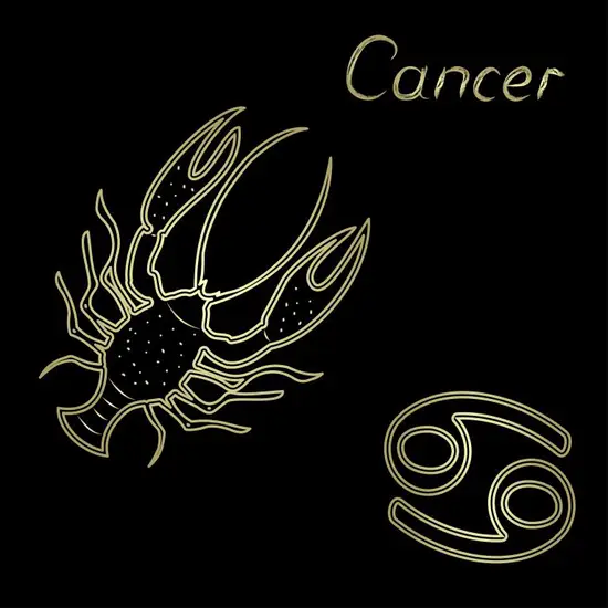 射手男爱惨巨蟹女的表现(星座之间的奇妙缘分)