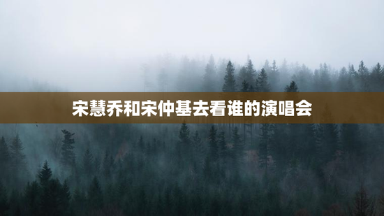 宋慧乔和宋仲基去看谁的演唱会