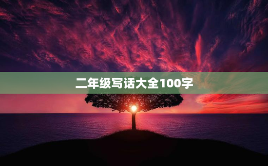 二年级写话大全100字