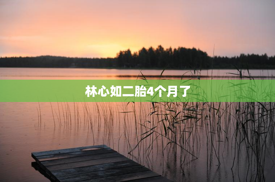 林心如二胎4个月了