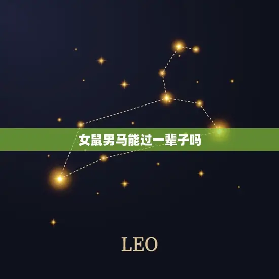 女鼠男马能过一辈子吗