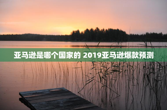 亚马逊是哪个国家的 2019亚马逊爆款预测