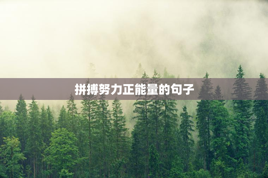 拼搏努力正能量的句子