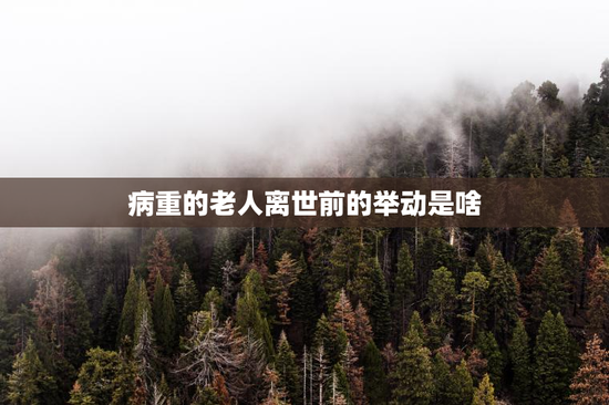病重的老人离世前的举动是啥