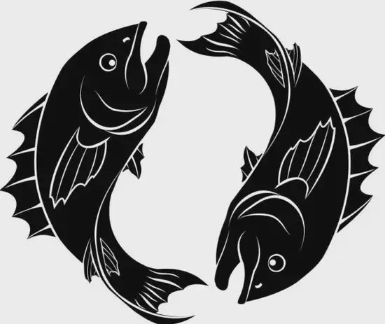 双鱼座情感共鸣解析