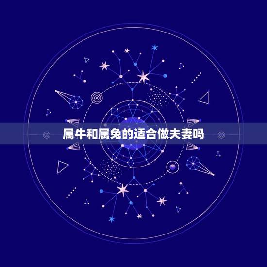 属牛和属兔的适合做夫妻吗(让你了解属相配对的秘密)