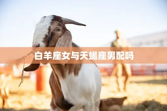 白羊座女与天蝎座男配吗(星座专家揭秘这样的组合会有怎样的爱情故事)