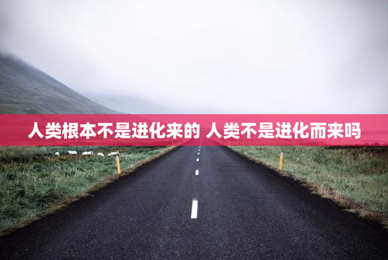 人类根本不是进化来的 人类不是进化而来吗