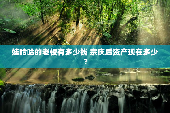 娃哈哈的老板有多少钱 宗庆后资产现在多少？