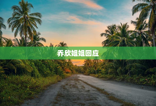 乔欣姐姐回应