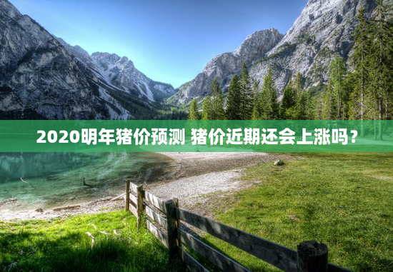 2020明年猪价预测 猪价近期还会上涨吗？