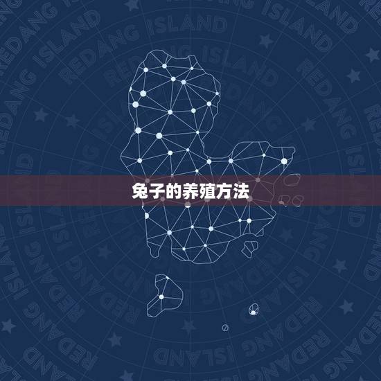 兔子的养殖方法