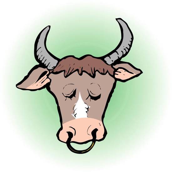 属牛射手座2023年运势(财运亨通事业有成)