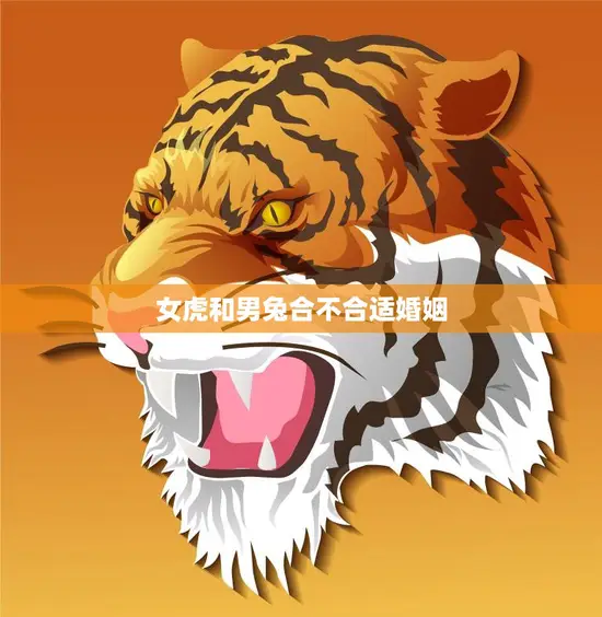 女虎和男兔合不合适婚姻(如何避免婚姻矛盾)